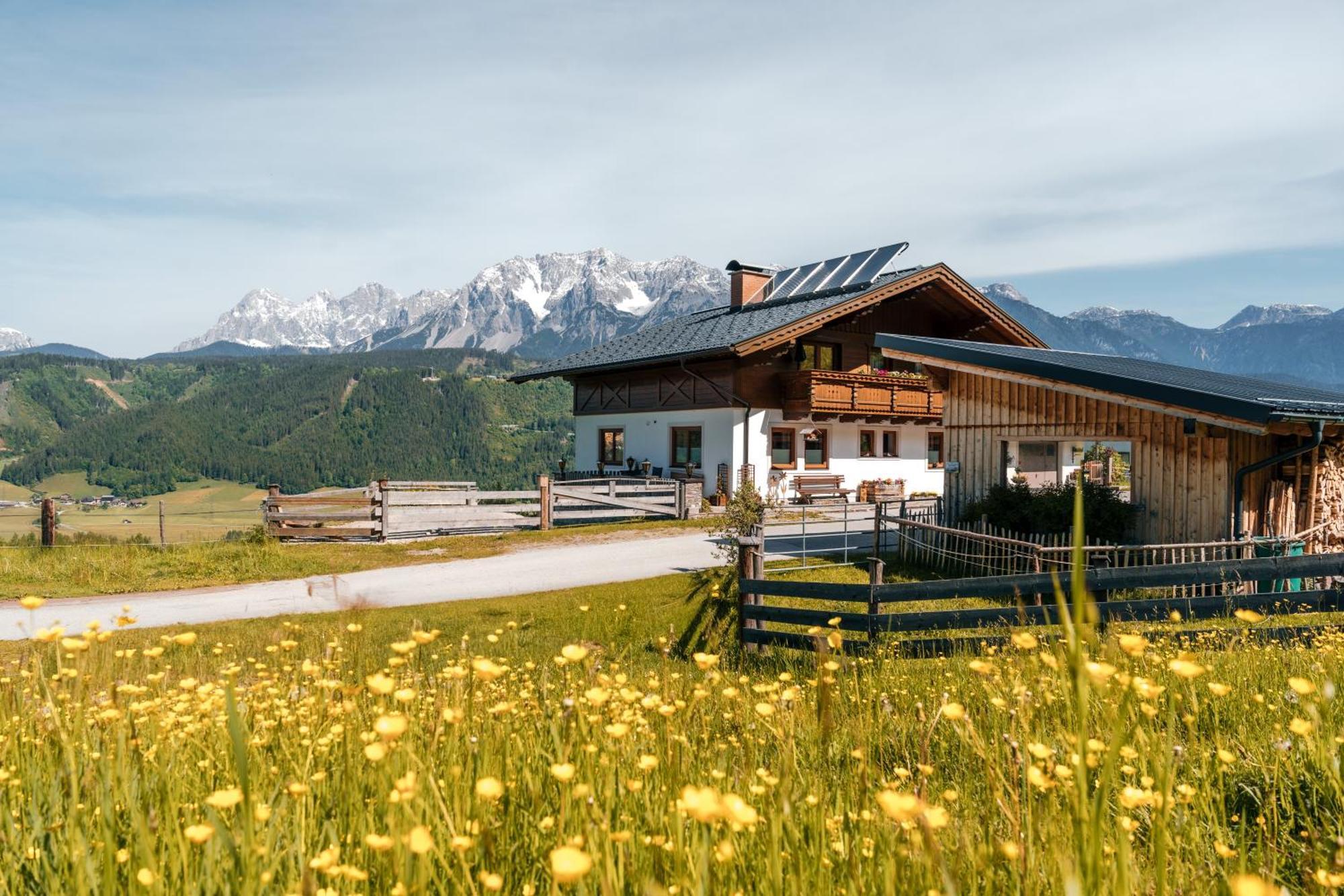 Spreitzhof - Appartements Schladming Ngoại thất bức ảnh